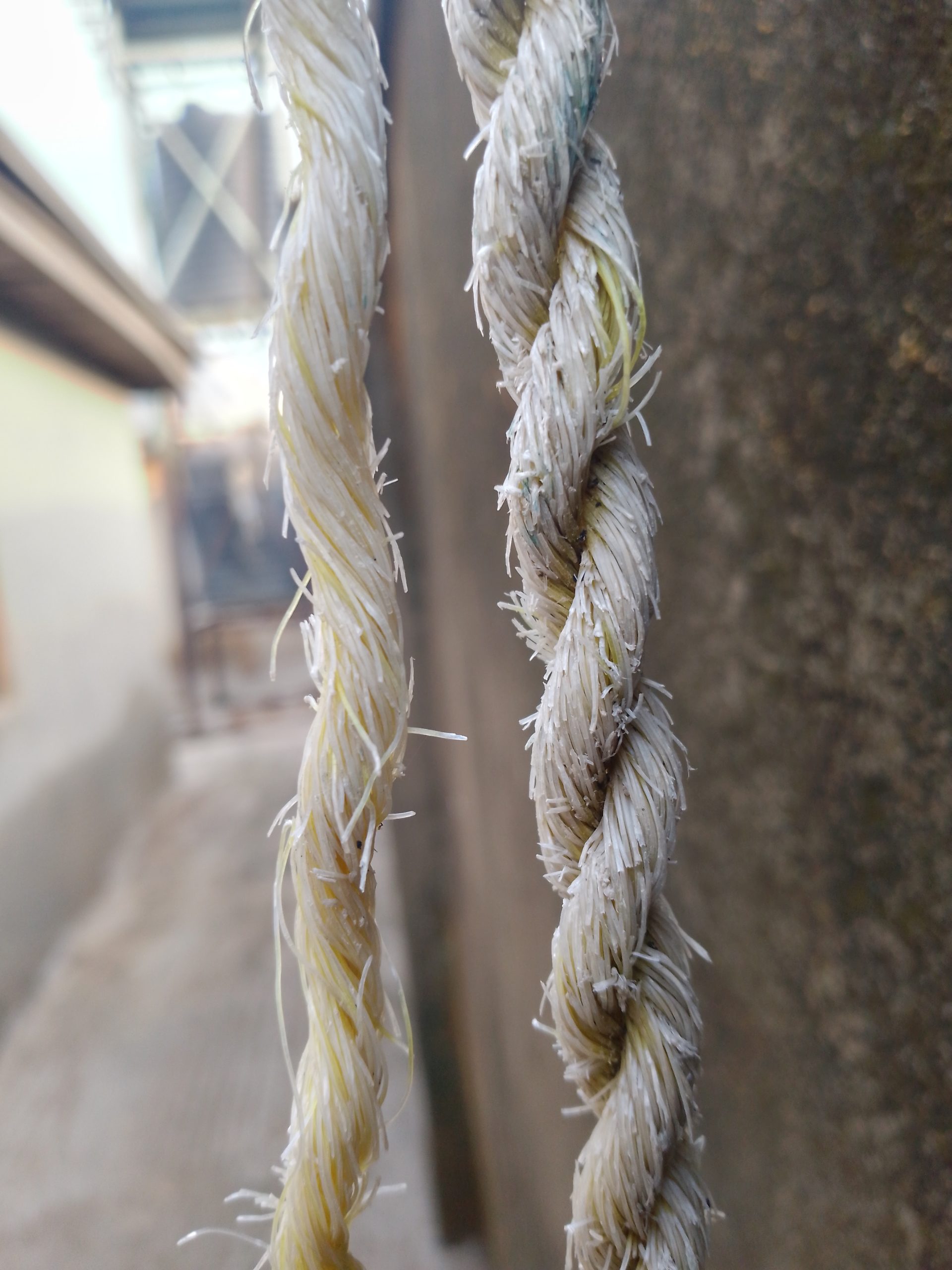 iTel P37 Pro main camera sample